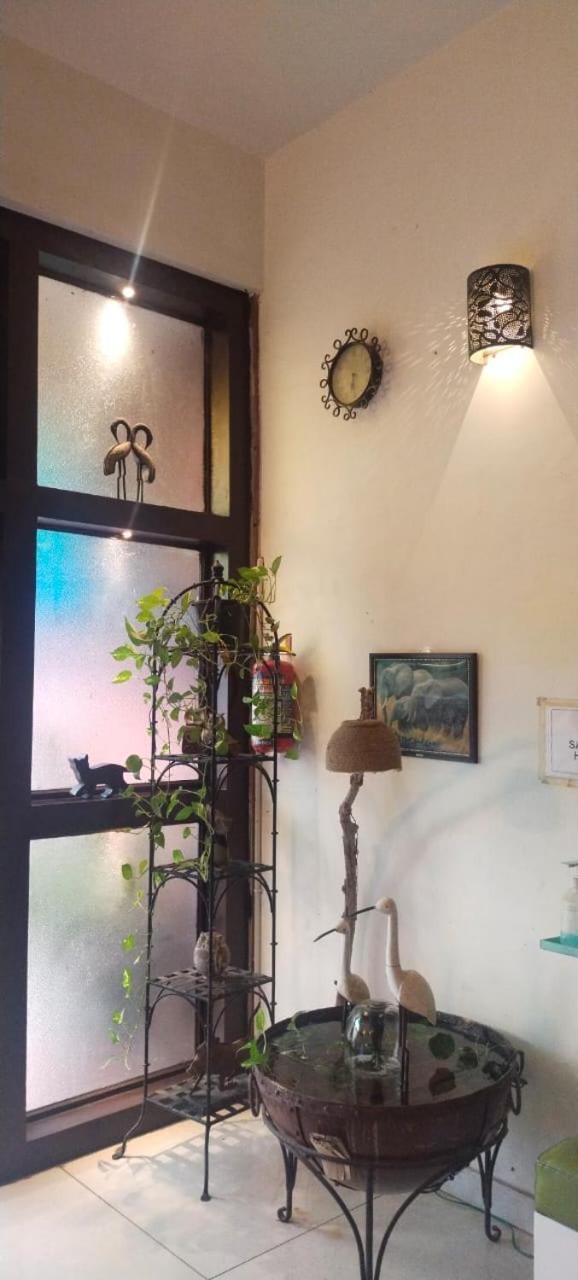 ג'ודפור Rangbaari Stays & Cafe מראה חיצוני תמונה