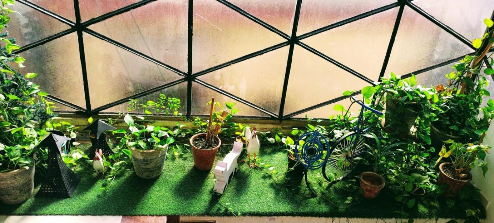 ג'ודפור Rangbaari Stays & Cafe מראה חיצוני תמונה